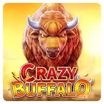 FaChai Crazy Buffalo